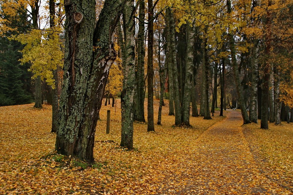 Photograph by Юрий Чистяков