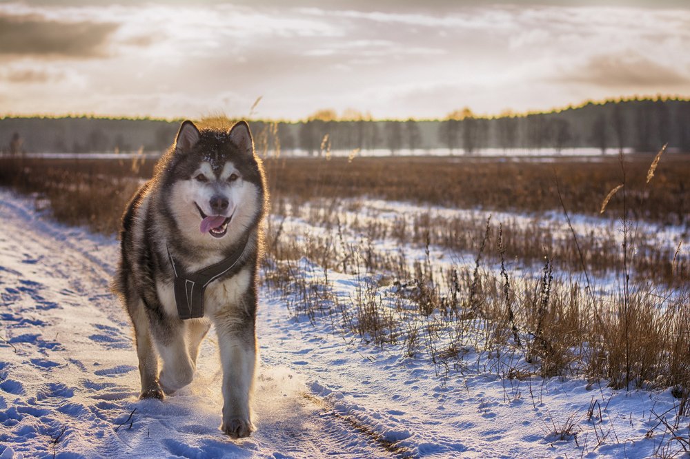 Photograph by Julija JKv