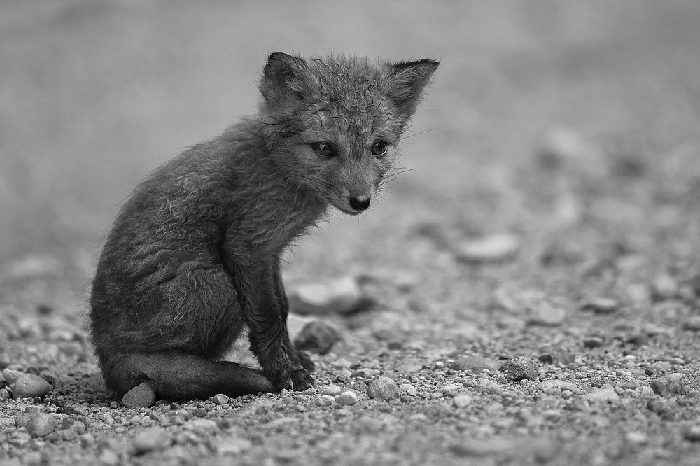 Photograph by Inguna Zvaigzne