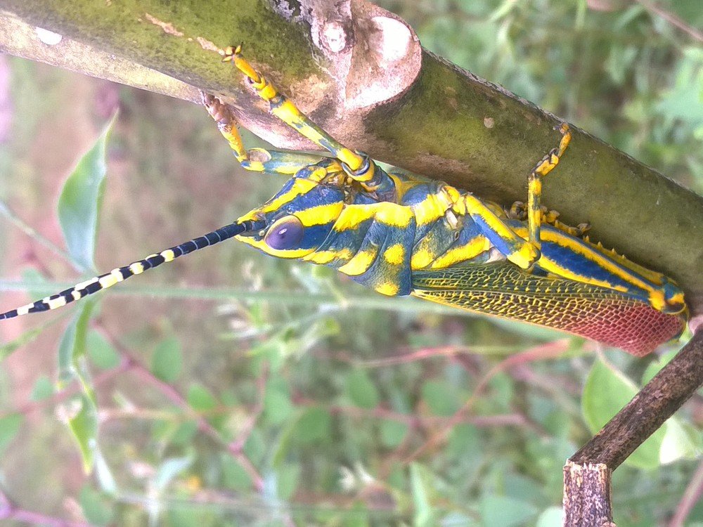 Photograph by sumit sitole