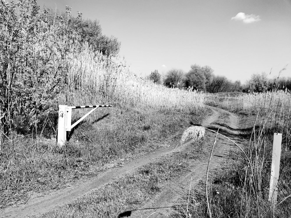 Photograph by Егор Лузан