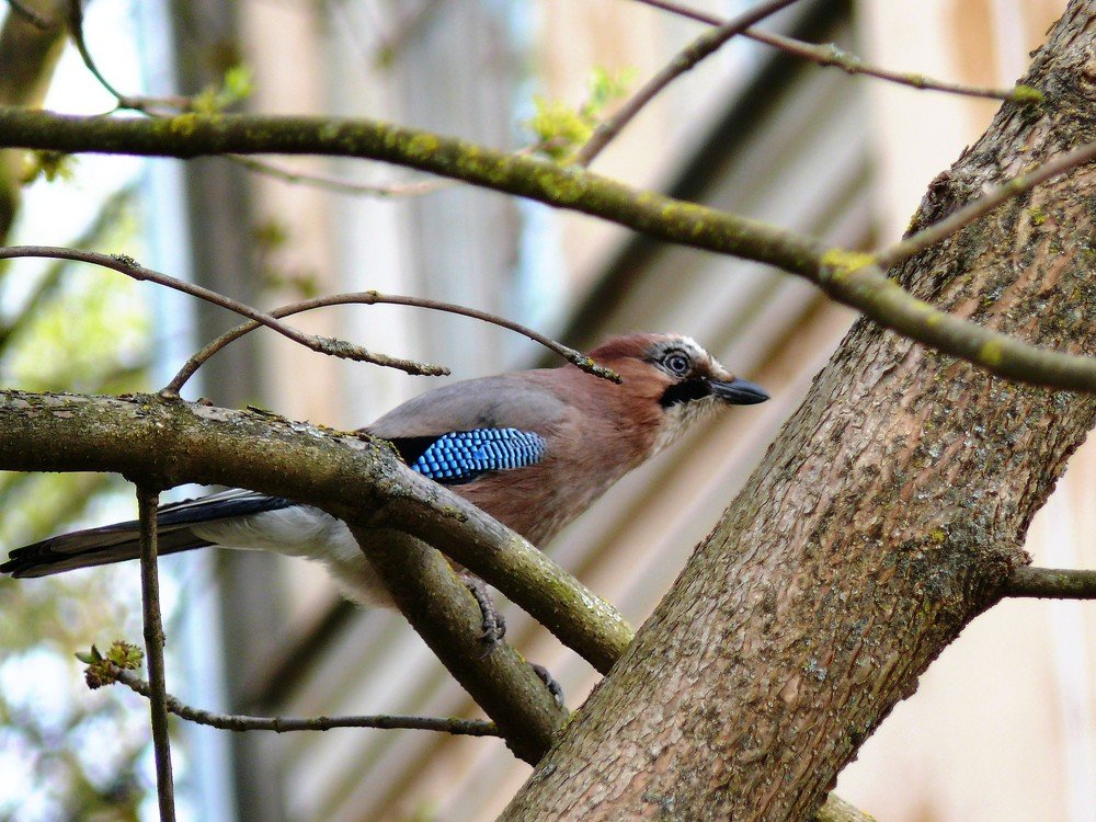 Photograph by Марина Игнатьева