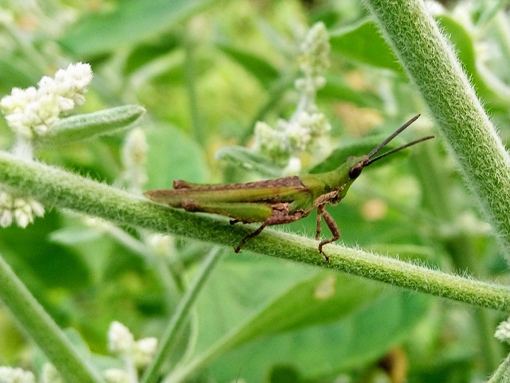 Photograph by sumit sitole