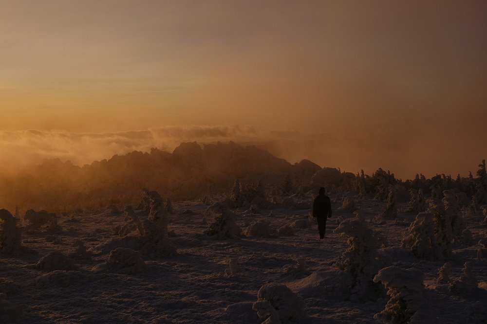 Photograph by Евгений Пташко