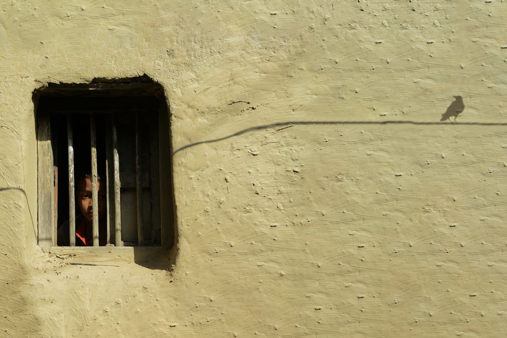 Фотография автора Nawas Sharif Nawas