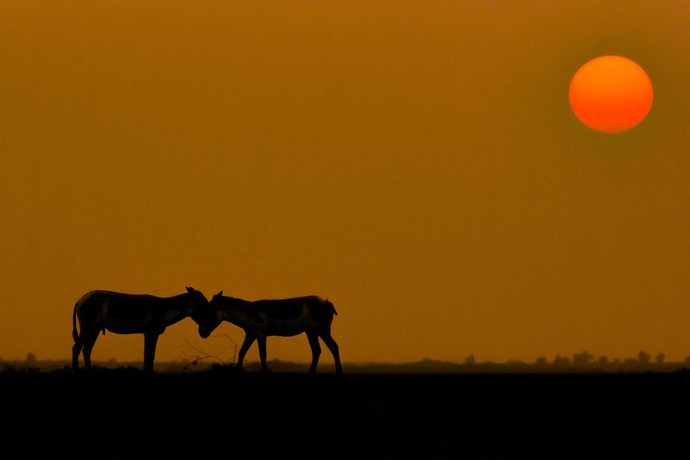 Photograph by Ravi Patel