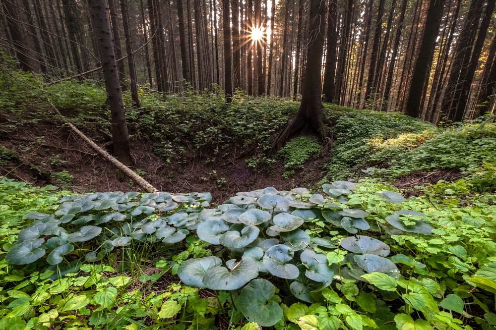 Photograph by Савицкий Ян