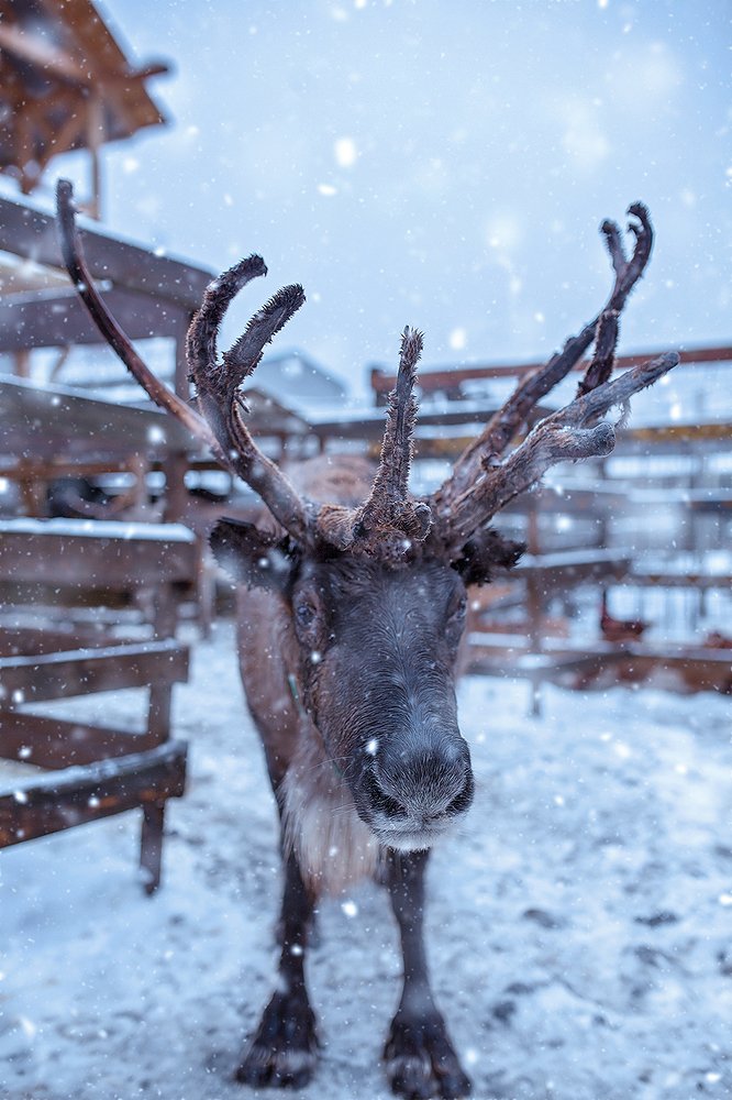 Photograph by Светлана