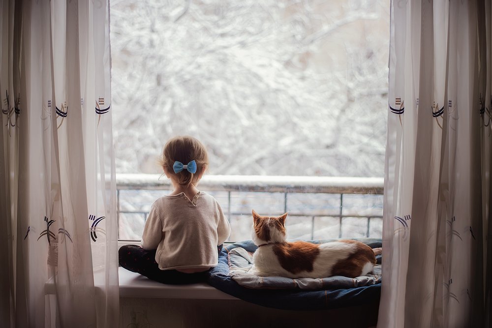 Photograph by Юлия Павалюк