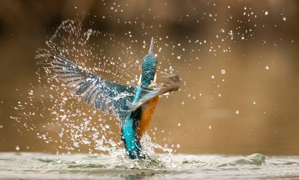 Photograph by Erika Katics