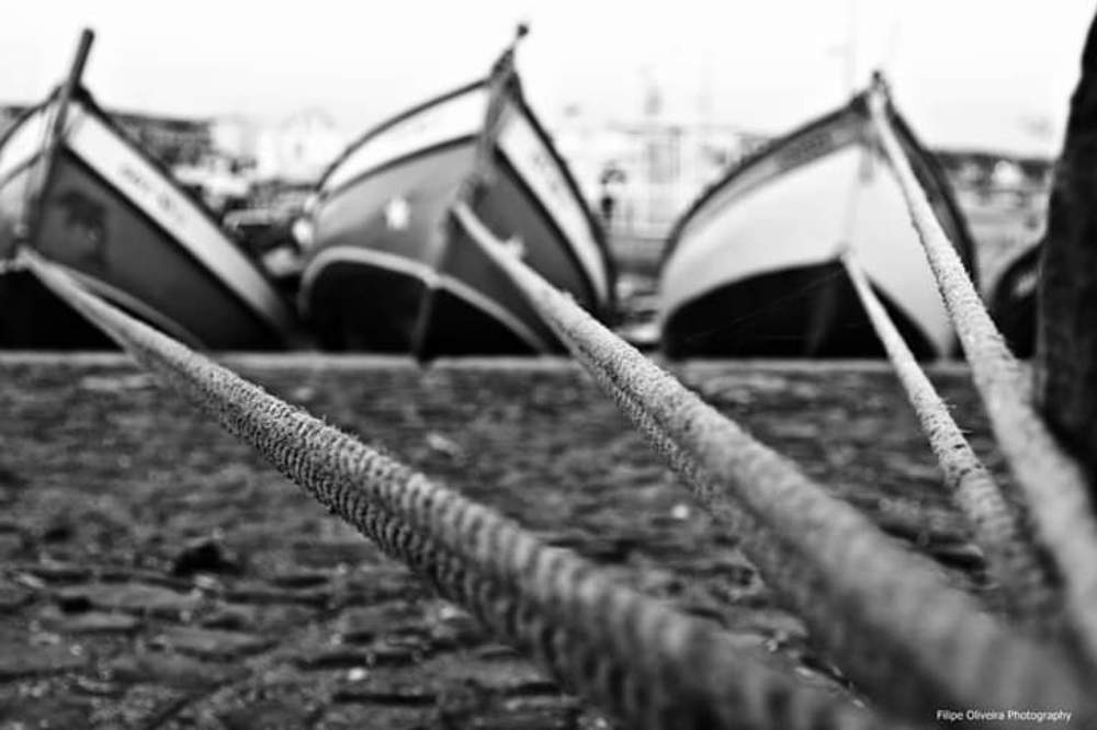 Photograph by Filipe de Oliveira