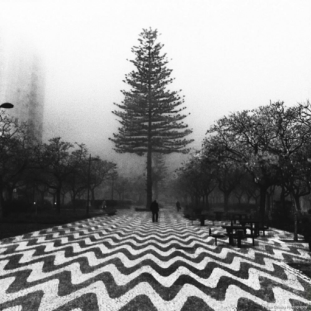 Photograph by Filipe de Oliveira