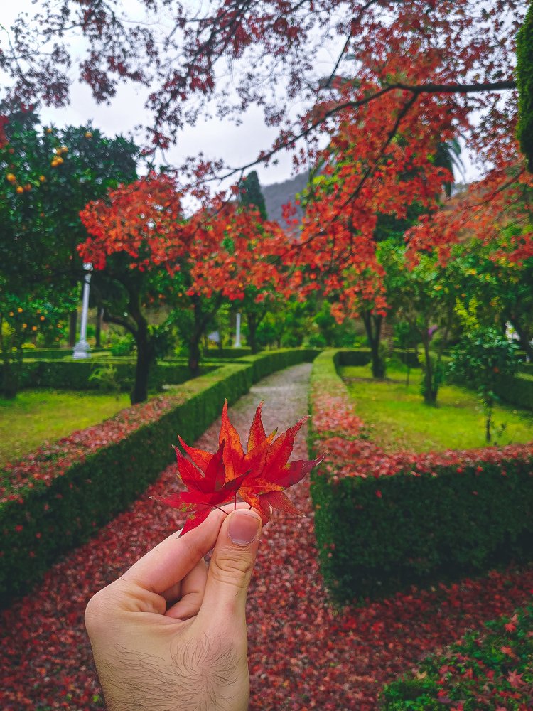 Photograph by Navid Tahmasbi