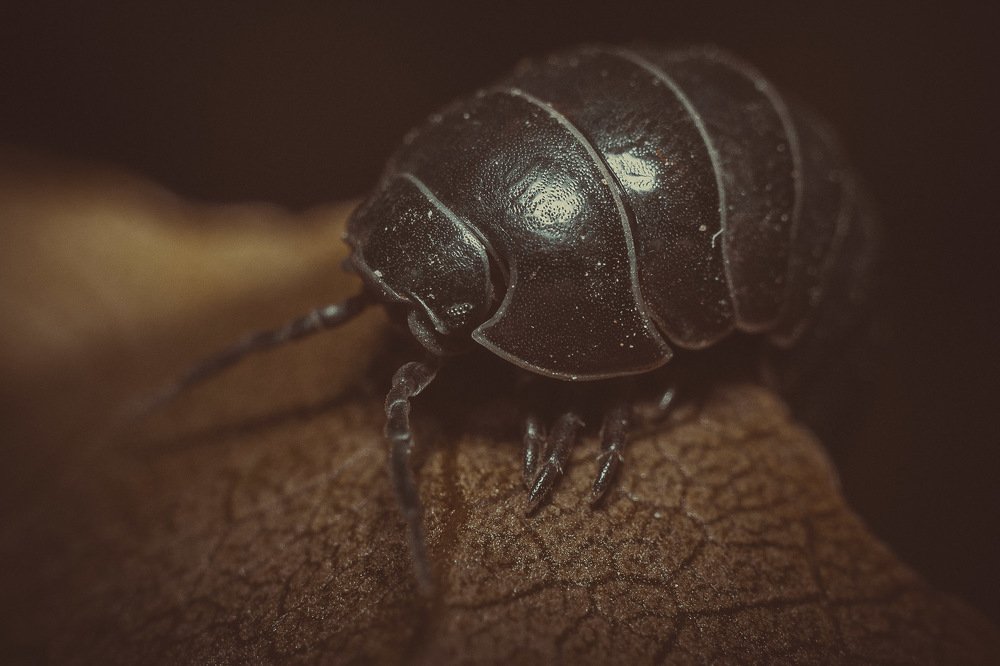 Photograph by Osvaldo Medina