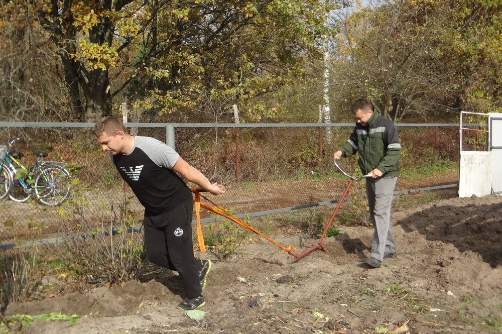 Photograph by Анатолий Мохорев