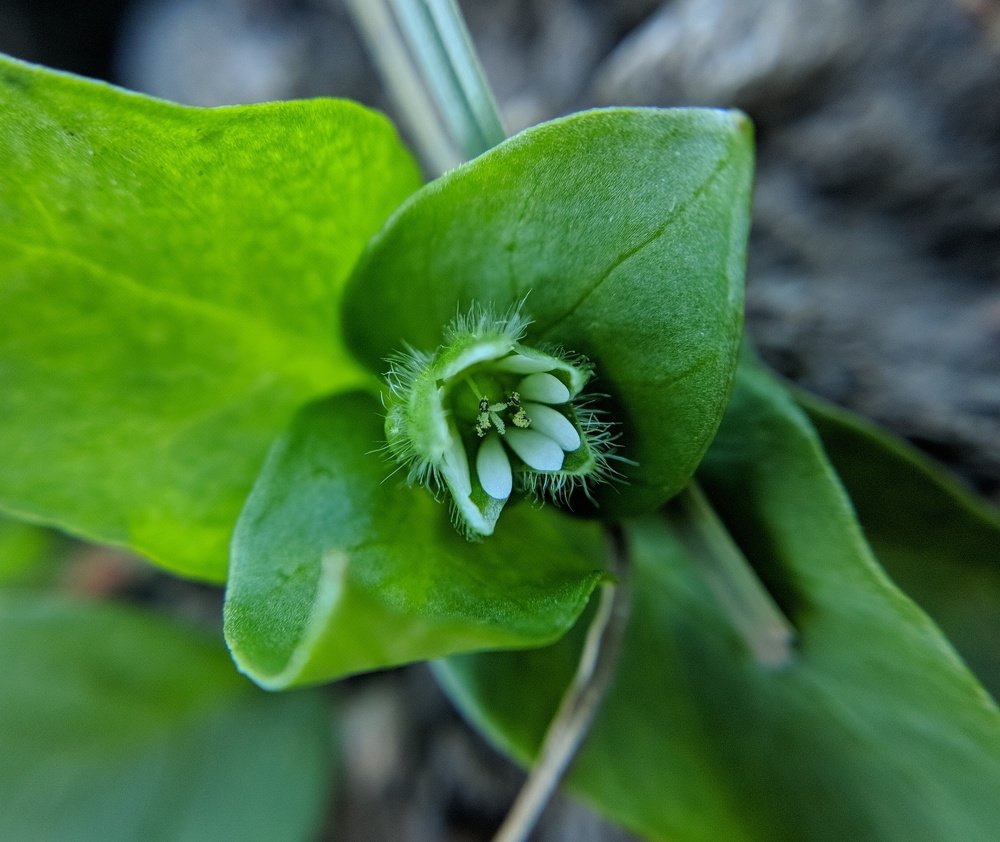 Photograph by Наиль Шакиров