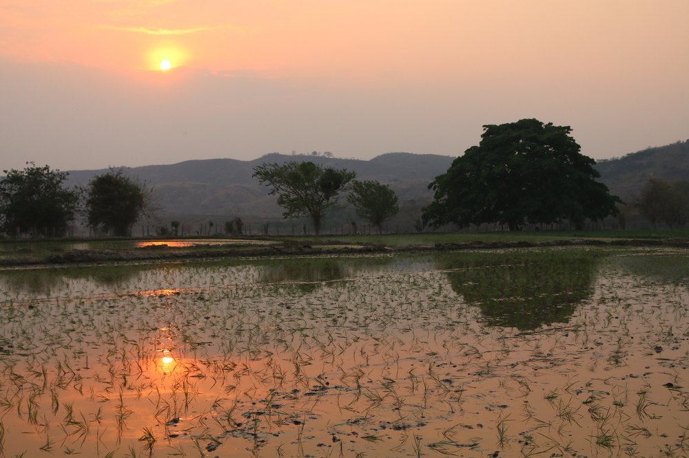 Reflejando El Atardecer