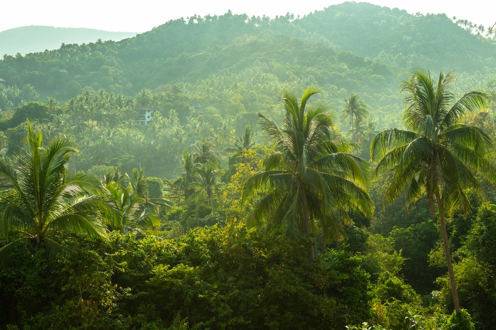 Photograph by Михаил Ноеренчук