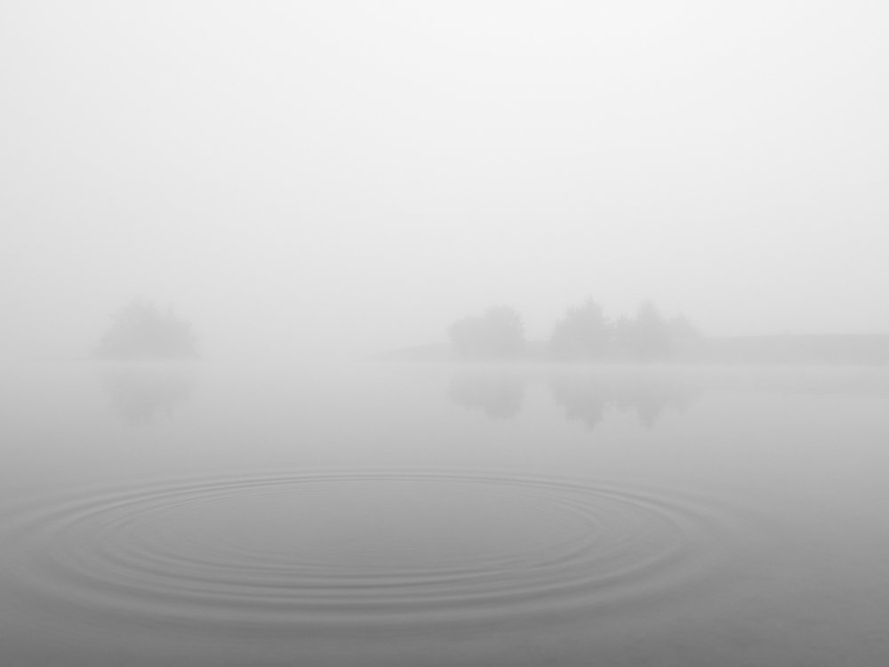 Фотография автора Георгий Муравьёв