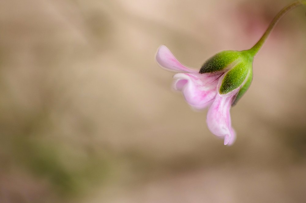 Photograph by Sahar Jafari