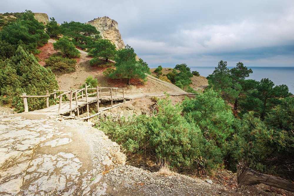 Photograph by Владимир Каюков