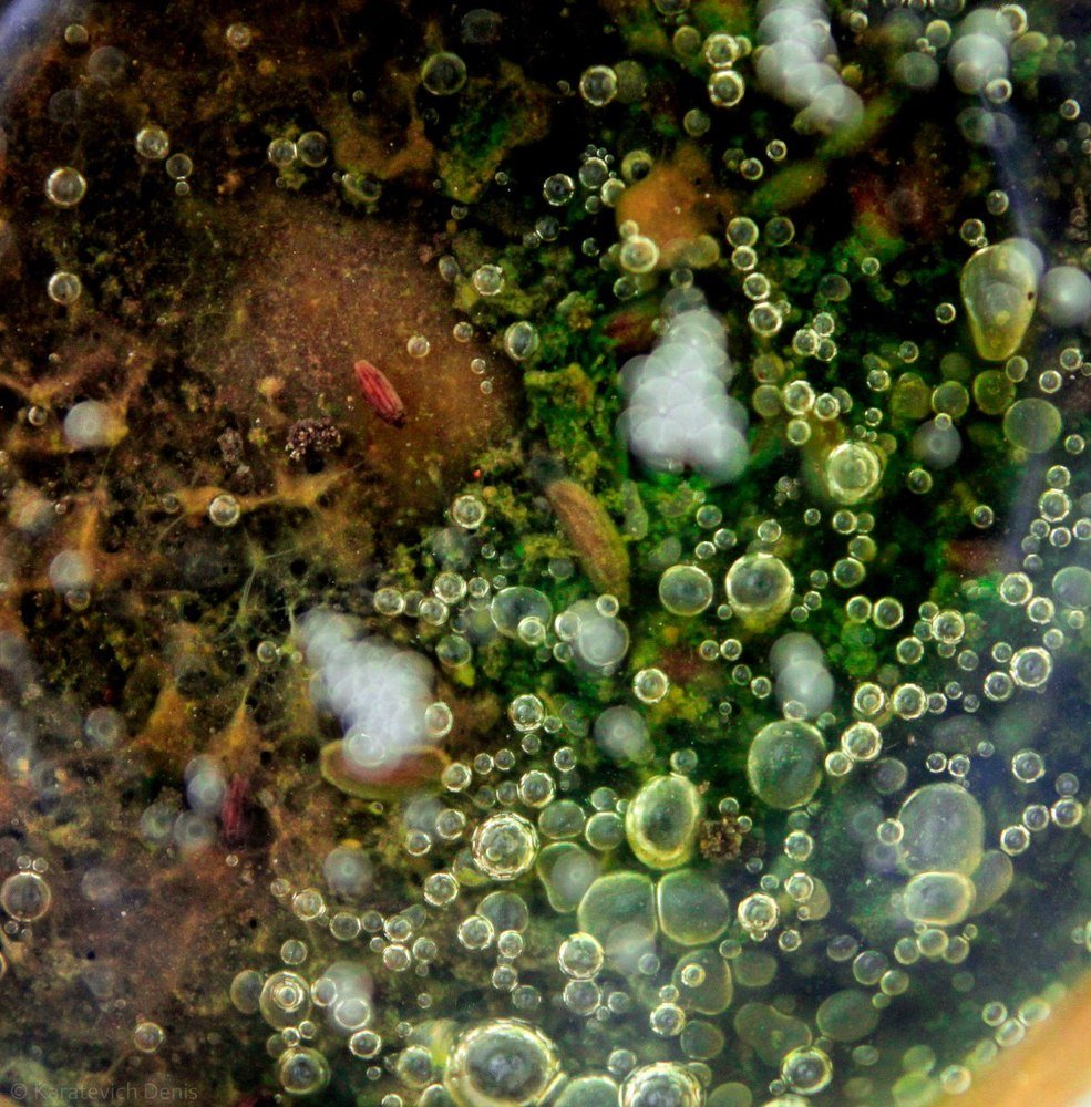 Photograph by Денис