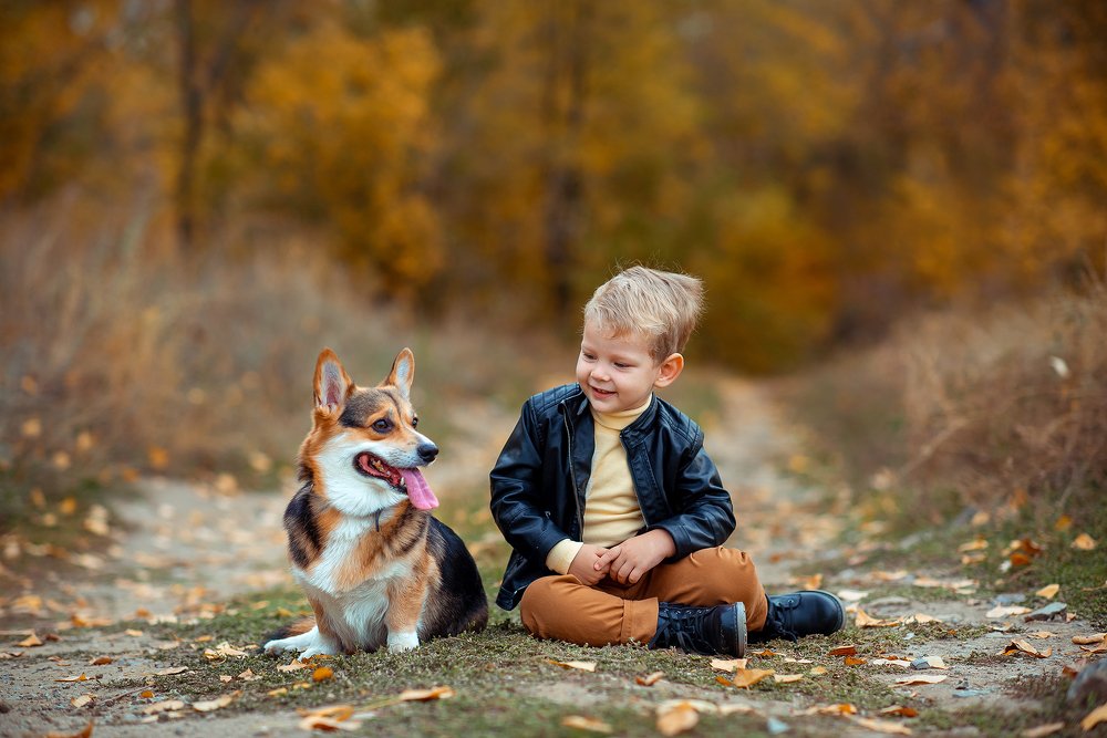 Привет, дружок!
