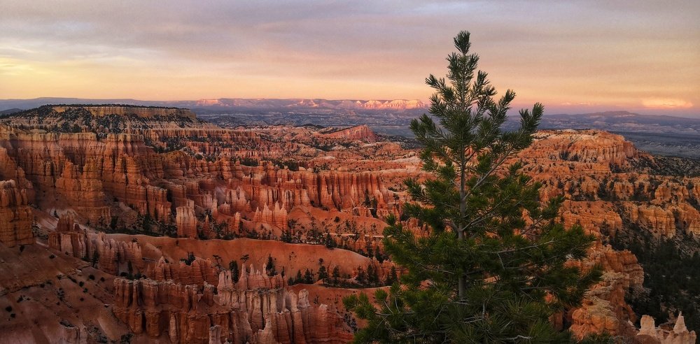 Photograph by Rahil Khan