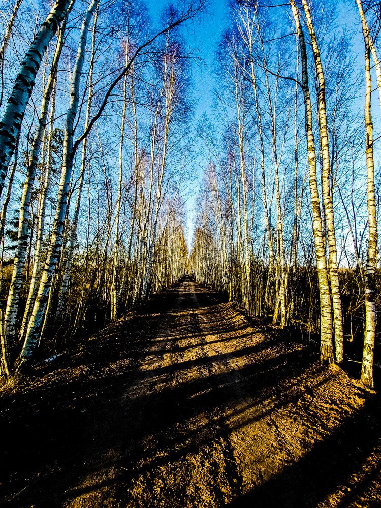 Photograph by Кристина Вингре