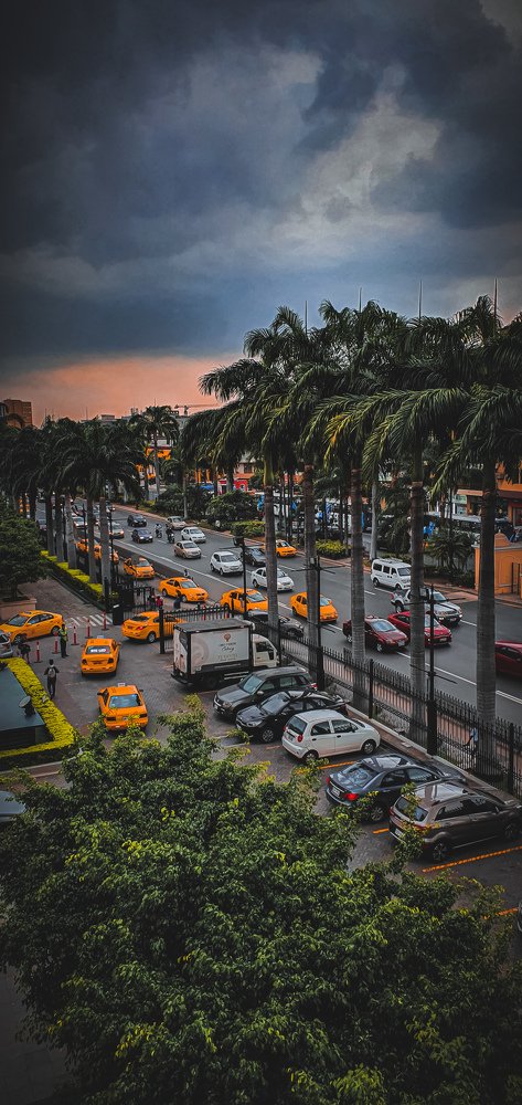 Photograph by Fernando Martinez