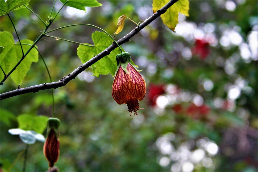 Photograph by Nitin Kumar