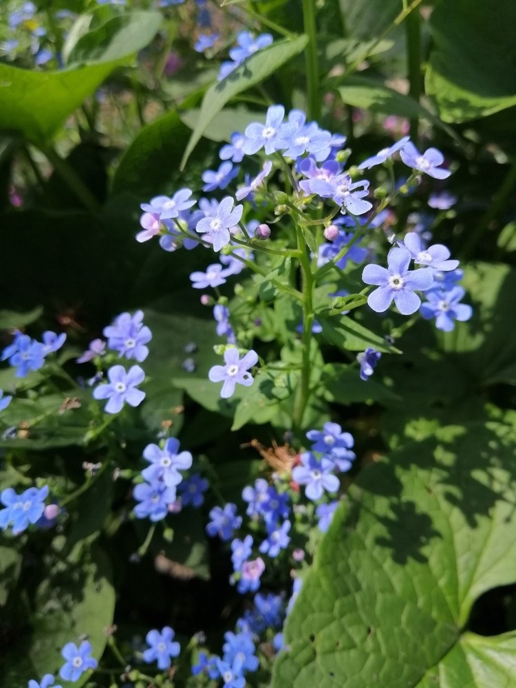 Photograph by Павел