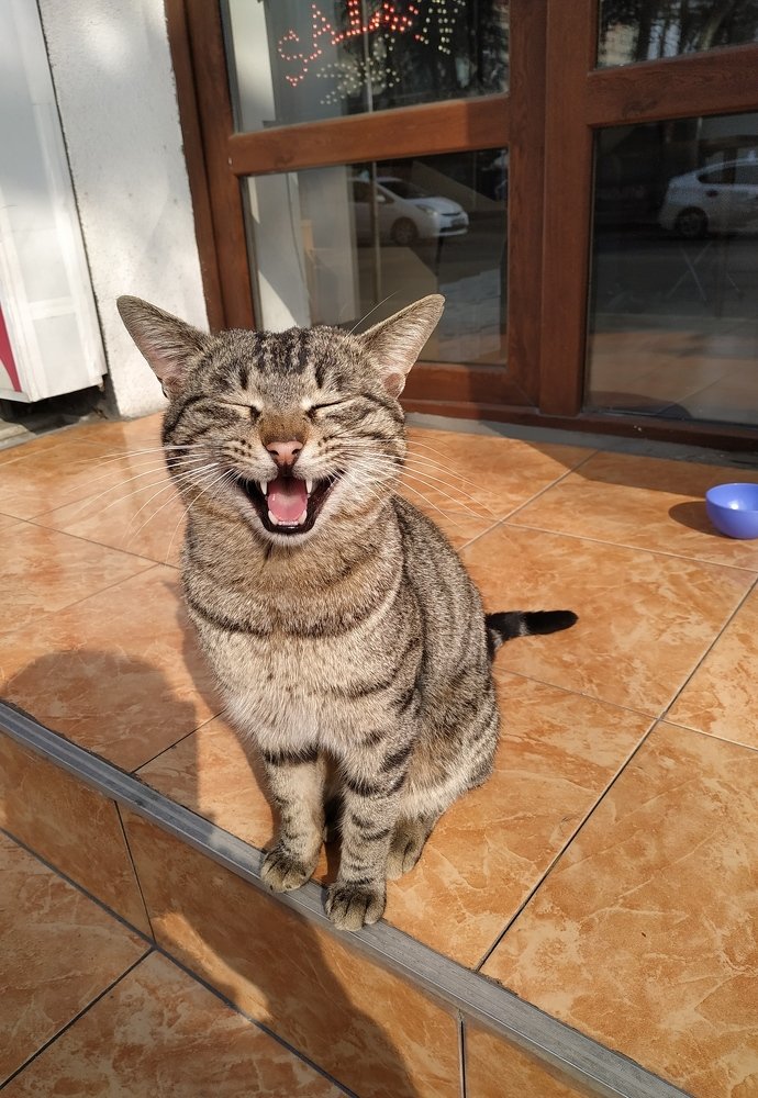 Photograph by Инга