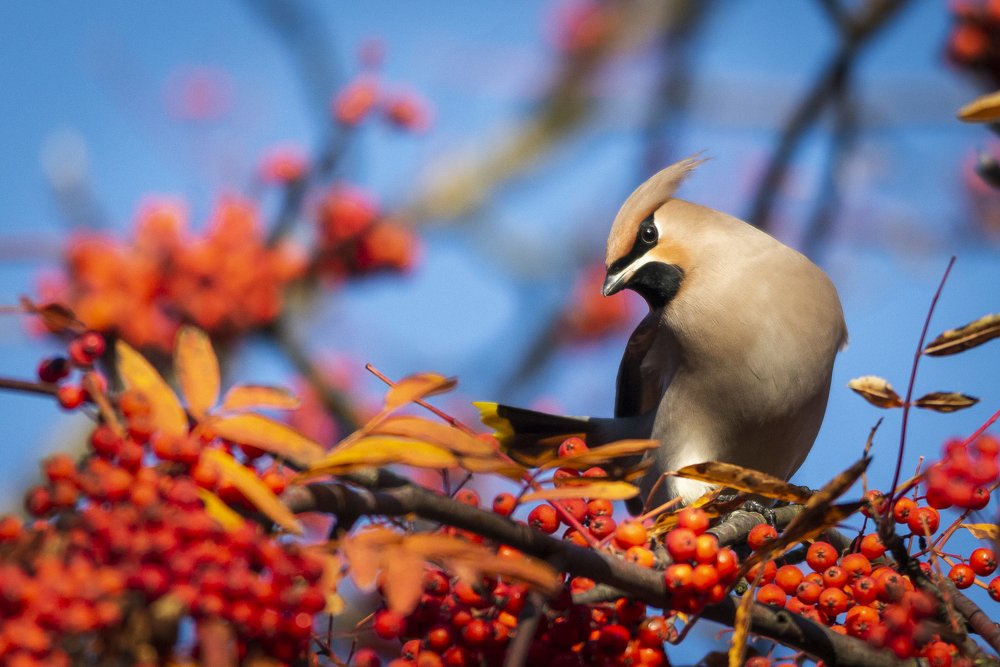 Photograph by Виктор Плахотин