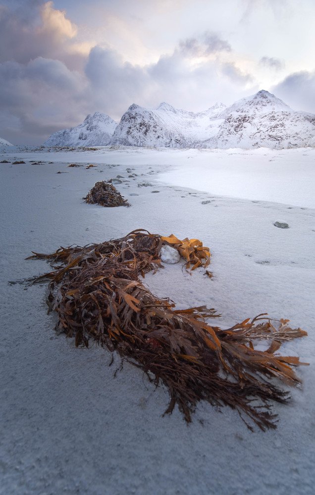 Photograph by Eliška Dobnerová