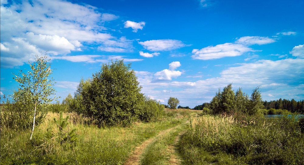 Photograph by Максим Кичкайло