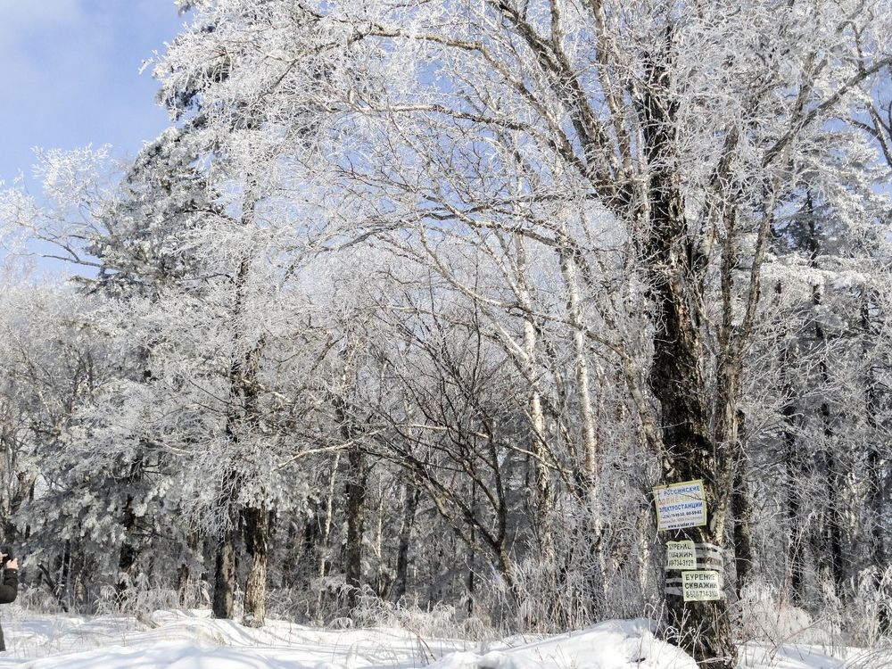 Photograph by Сергей Викторович