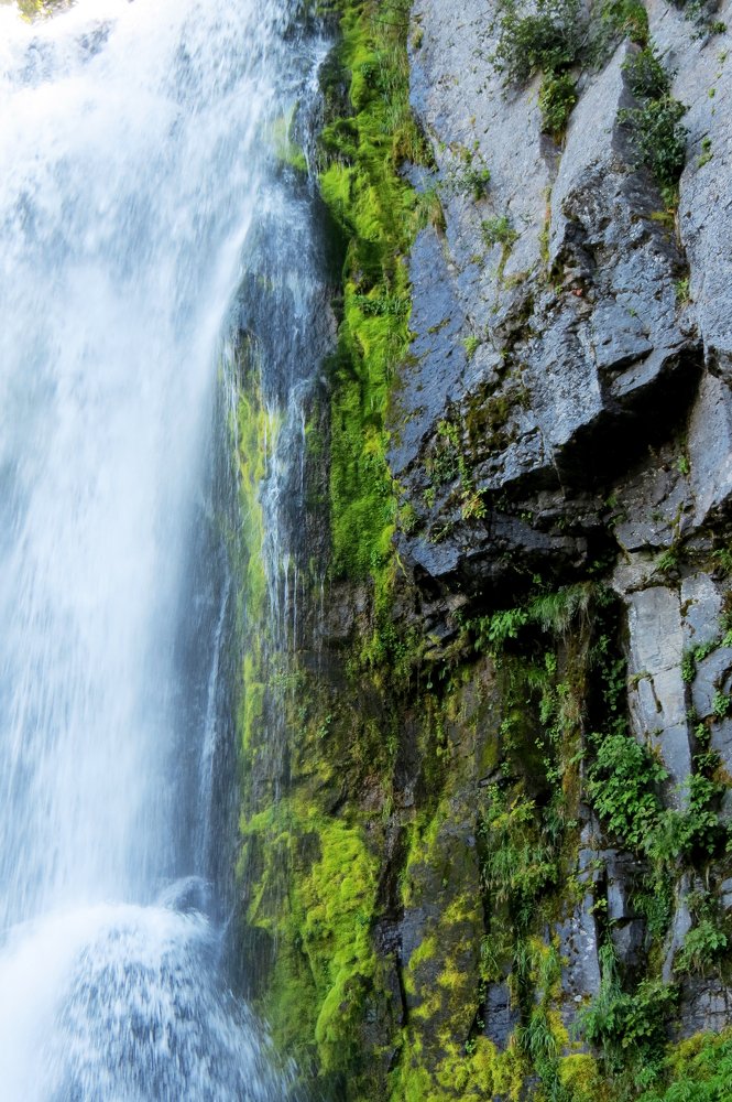 Photograph by Алина Банатова