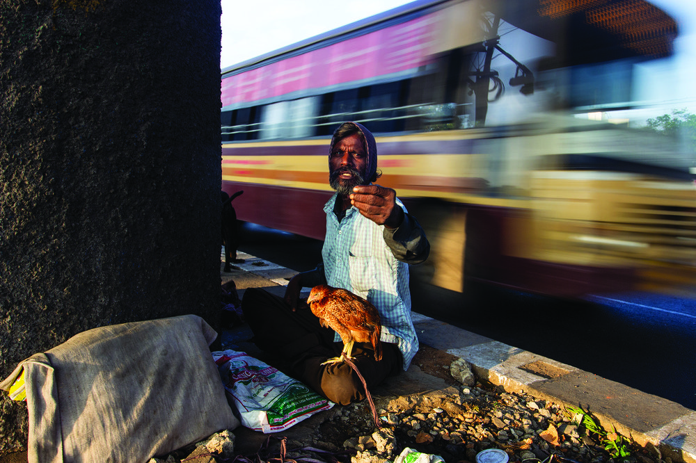 Фотография автора Sivachandru