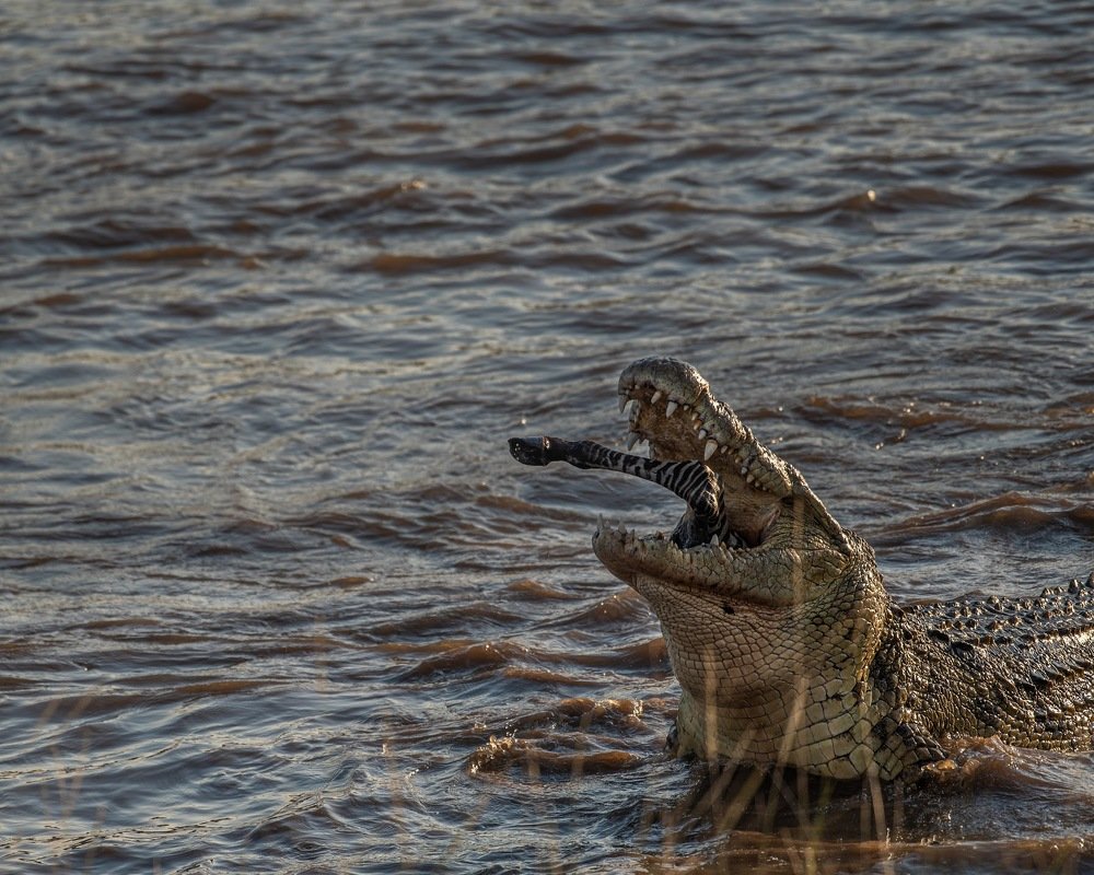 Photograph by Srikanth Santhinathan