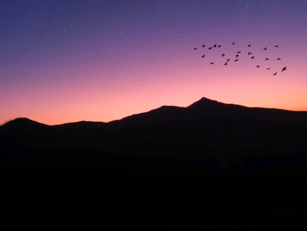 Photograph by Houda Kabbara