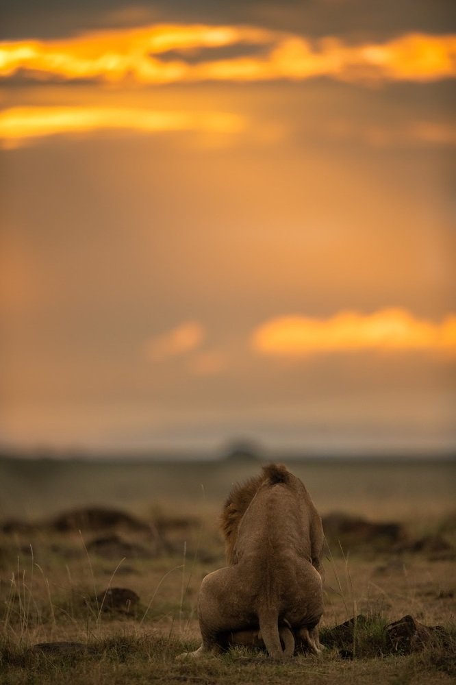 Photograph by Srikanth Santhinathan