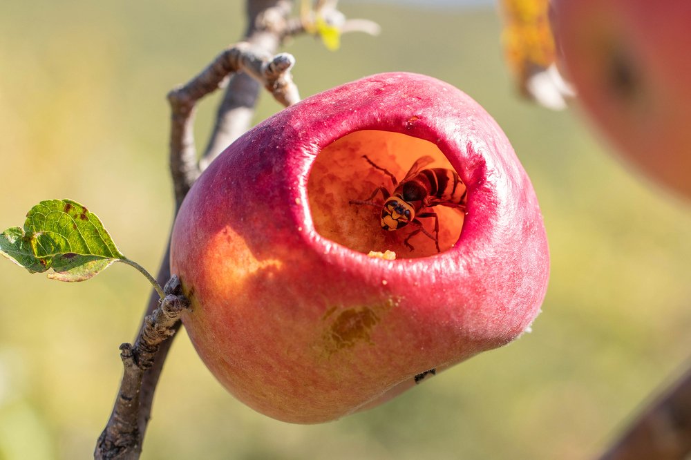 Photograph by Айша Кистаубаева