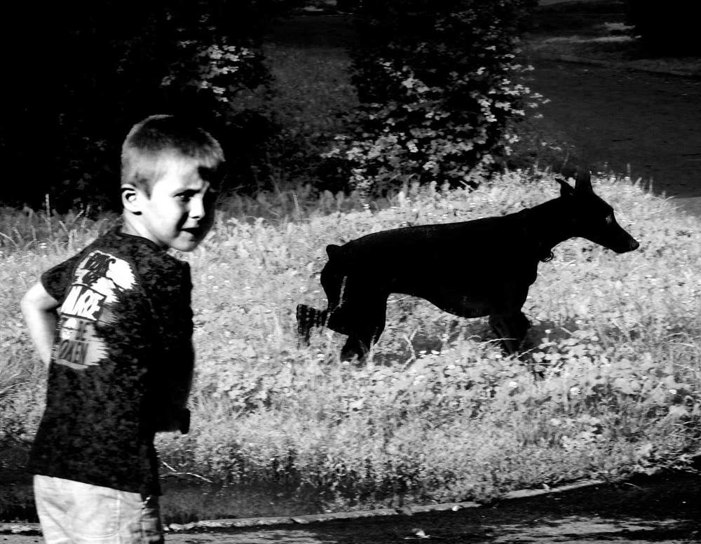 Dog and boy.
