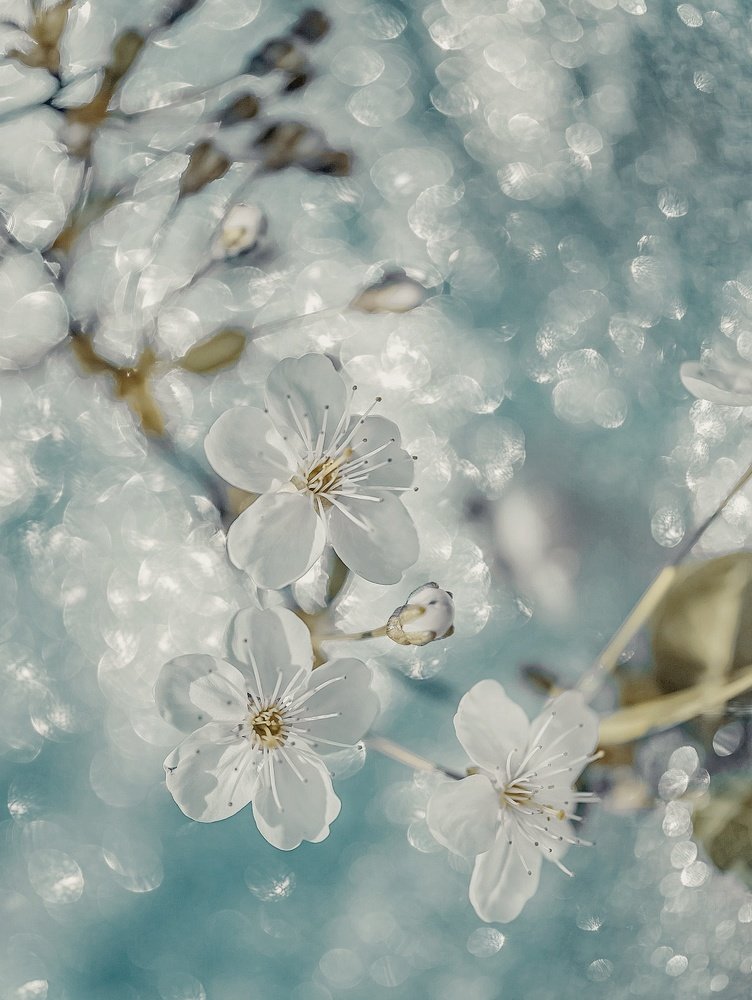 Photograph by Юлия Ильина