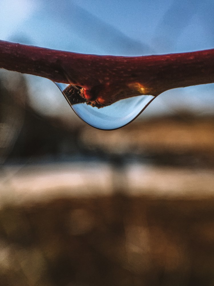 Photograph by Ольга Мурзина