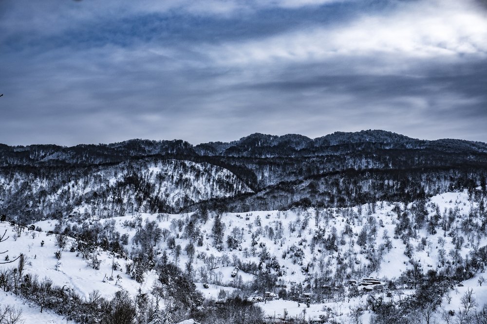 Photograph by Amin Safaripour