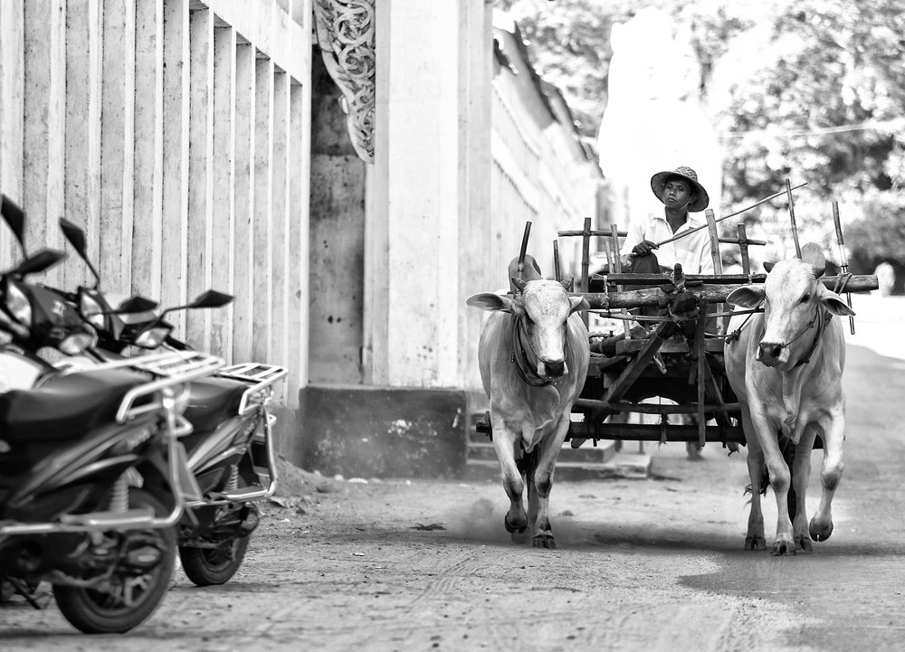 Photograph by yakov stavchansky