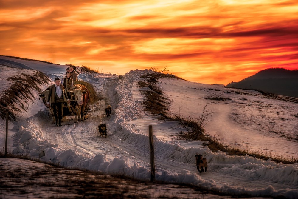 Photograph by Vasile Sarb