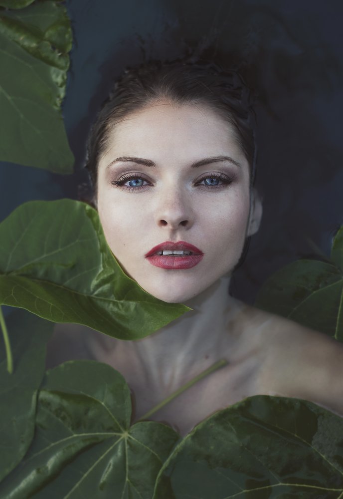 Photograph by Саша Парасич